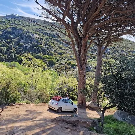 Casa Nel Bosco, Un Oasi Di Pace *