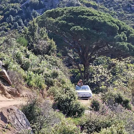 Casa Nel Bosco, Un Oasi Di Pace Prázdninový dům